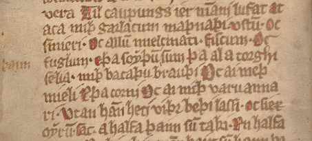 En sekvens ur handskrift B 64, den så kallade
huvudhandskriften av Gutalagen, som förmodas vara från ca 1350.  Finns på Kungliga biblioteket i Stockholm.