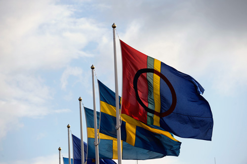 Flera flaggor på rad, den svenska flaggan och den samiska flaggan.