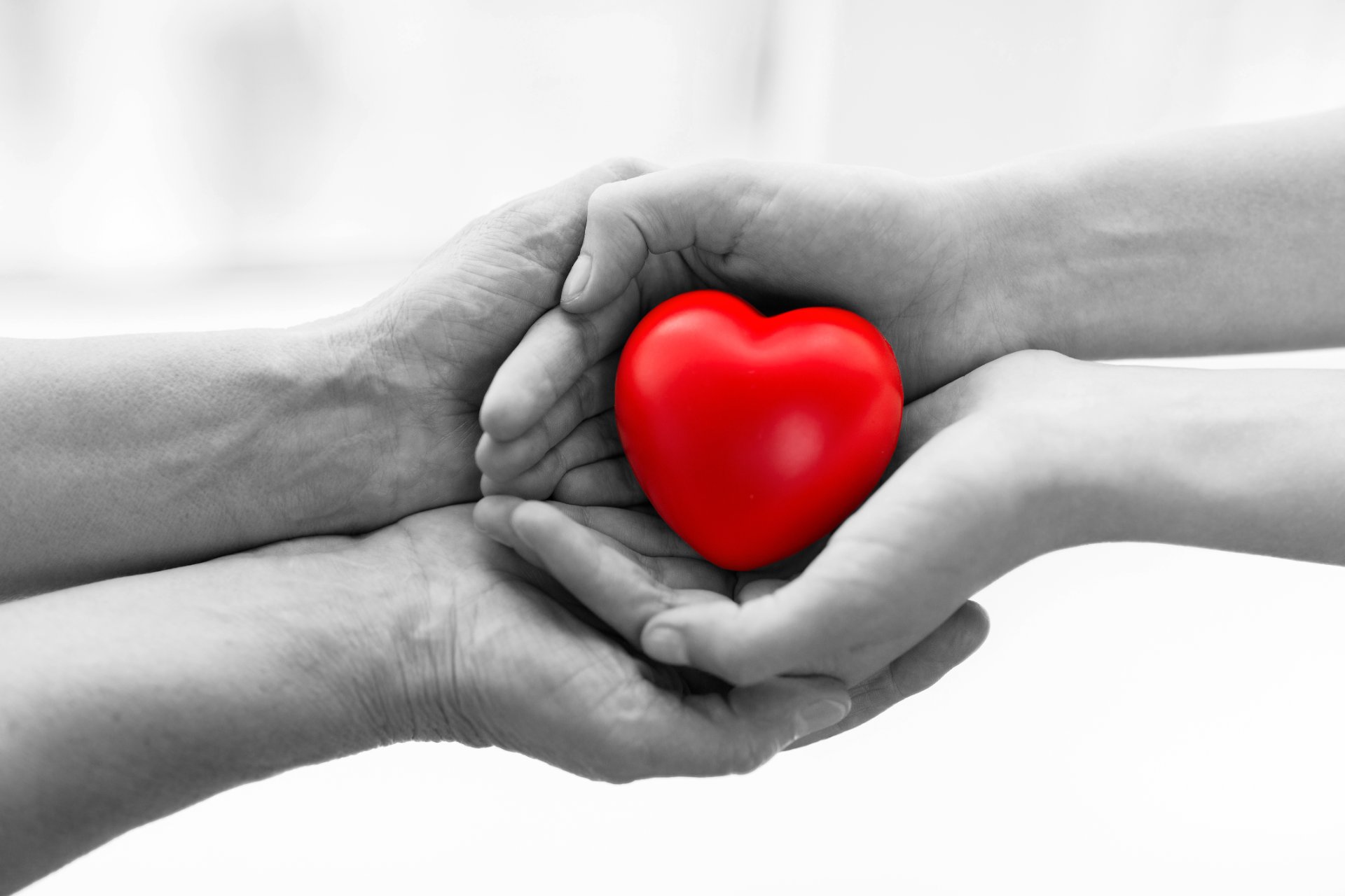 Två händer som håller i ett rött föremål format som ett hjärta.