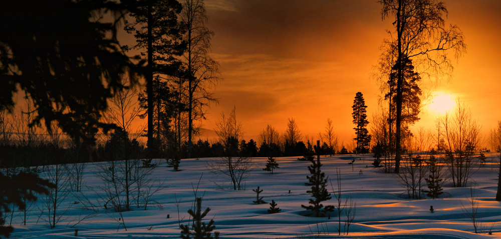 snöigt landskap med lågt stående sol i bakgrunden