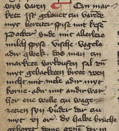 En sekvens ur handskrift B 65 som är en tysk
översättning av Gutalagen, daterad till 1401. Finns på Kungliga Biblioteket i Stockholm. 