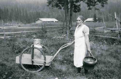 Kvinna vid dragkärra med mjölkkannor i plåt. 