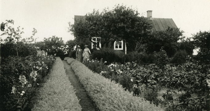 Tre kvinnor fotograferade i stor trädgård.