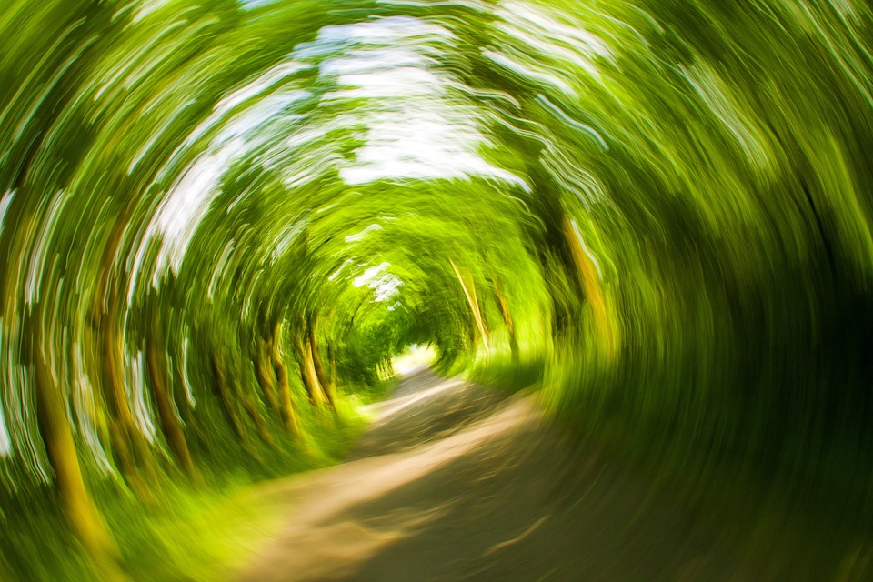Trädkantad väg fotograferad så att det ser ut som att allt snurrar, att man är snurrig eller yr. 