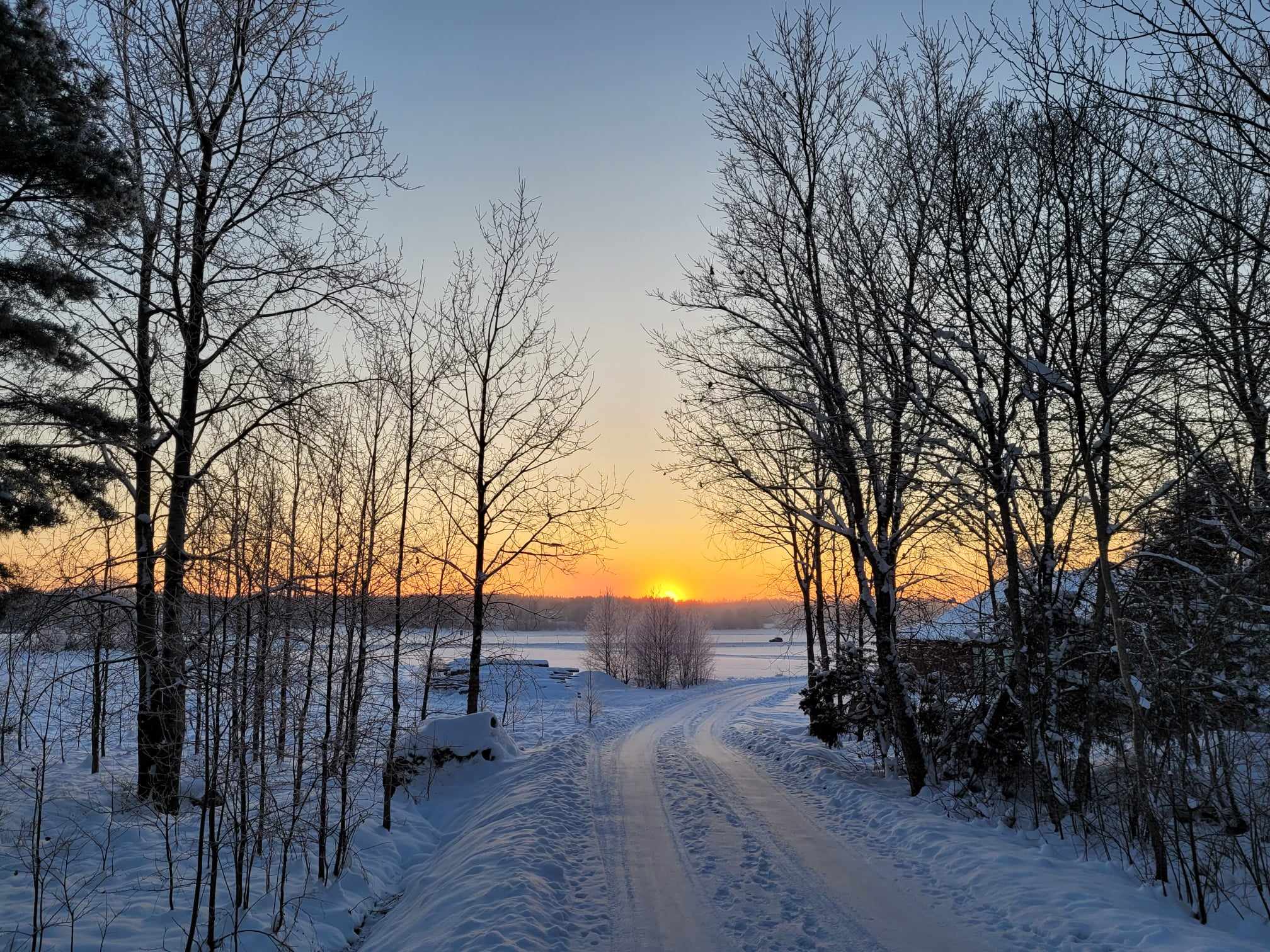 solnedgång en snöig vinterdag på trädkantad grusväg