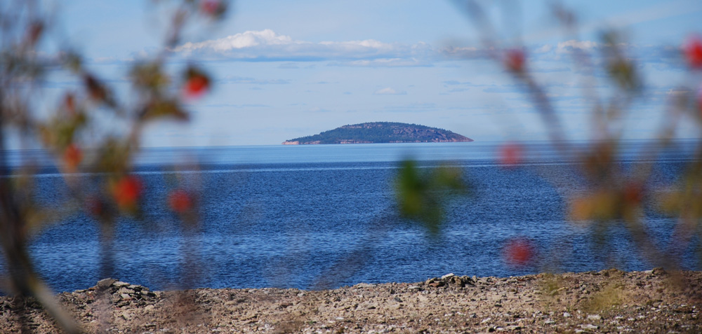 naturbild med växtlighet i förgrunden och ute till havs en blåskimrande ö som sticker upp mot horisonten