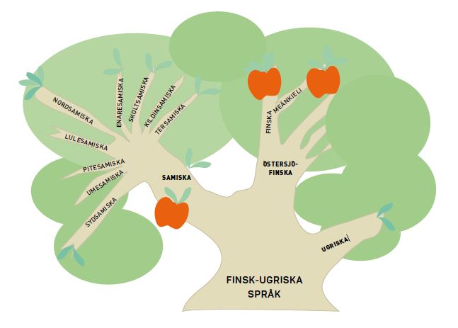 karta i form av träd över finskugriska språkfamiljen