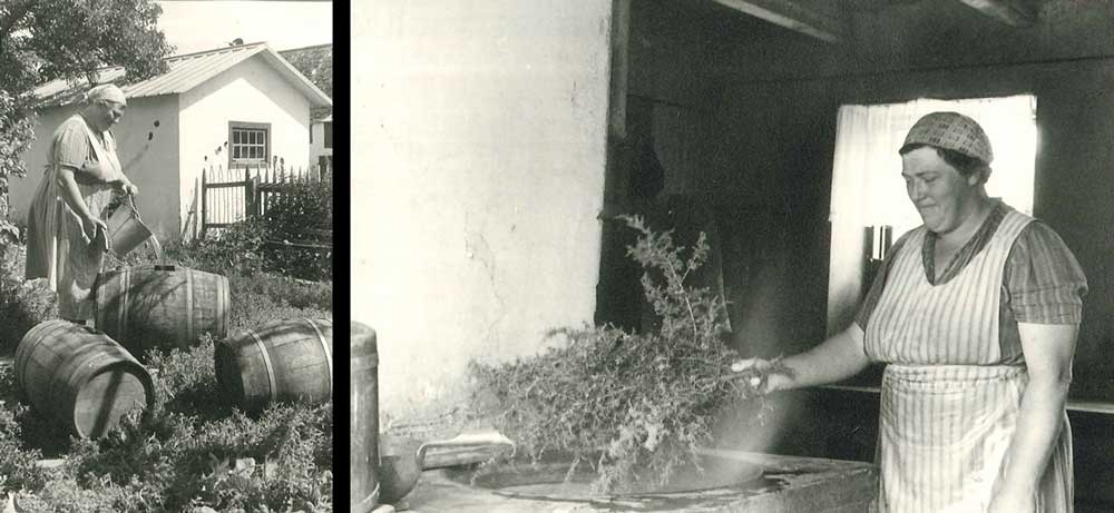 Fotografier på kvinna som häller ut vatten ur trätunnor på ena bilden och lägger enris i ett stort kar på den andra.