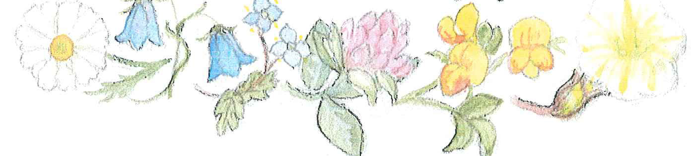 teckning blomstergirland