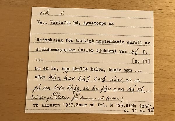 Lapp ur samlingarna för Ordbok över Sveriges dialekter med ordet rid. Foto: Jan Hellström/Isof