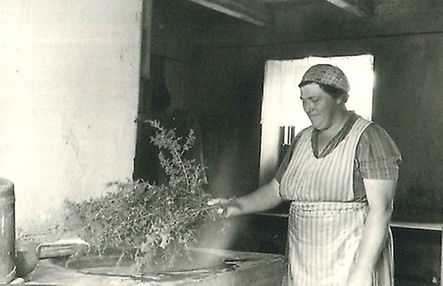 Humlen var inte den enda smaksättaren i ölbryggningen. Bilden visar drickabryggning i Hablingsbro socken på Gotland år 1947. Foto: Gunhild Thörn (Isof, ULMA 18918).